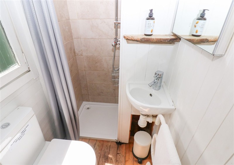 Bathroom at The Shepherd Hut, Nine Wells near Solva