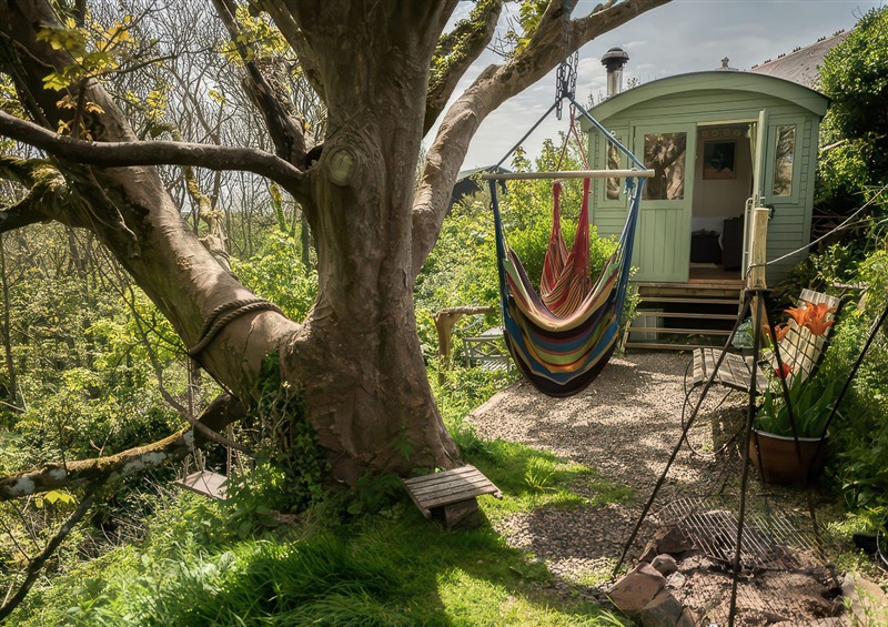 Outside at The Shepherd Hut, Nine Wells near Solva