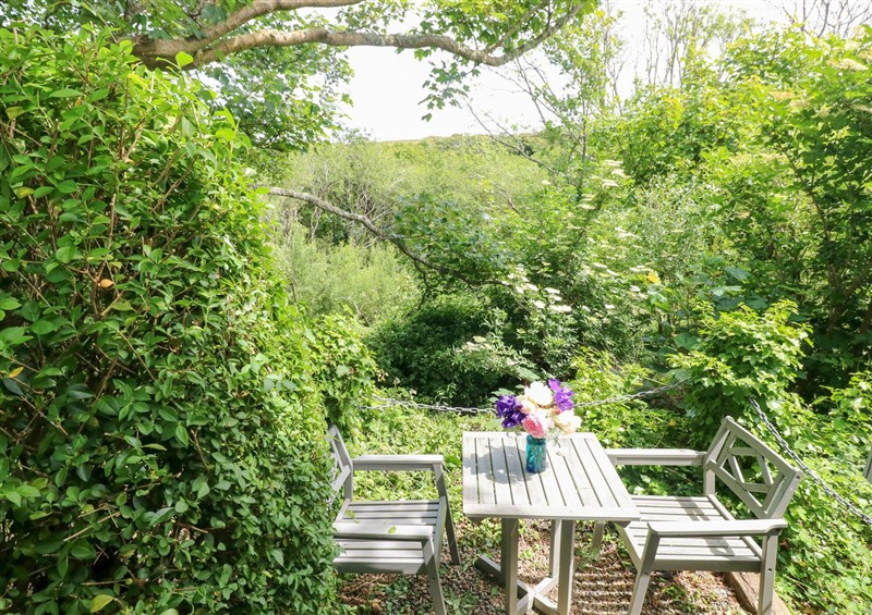 The garden (photo 2) at The Shepherd Hut, Nine Wells near Solva