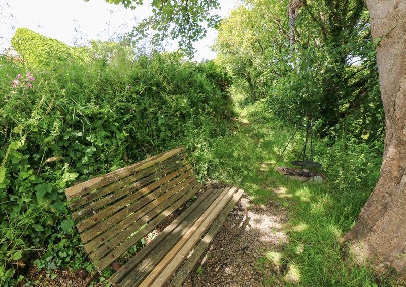 This is the garden at The Shepherd Hut, Nine Wells near Solva
