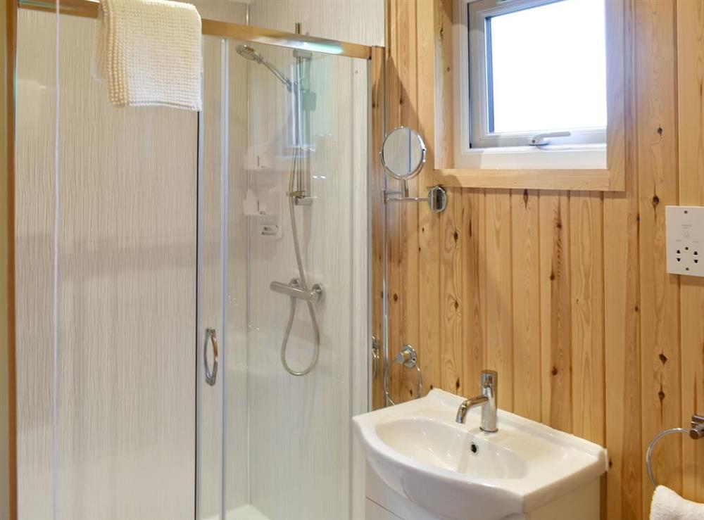 Shower room at Shepherds Hut 1, 