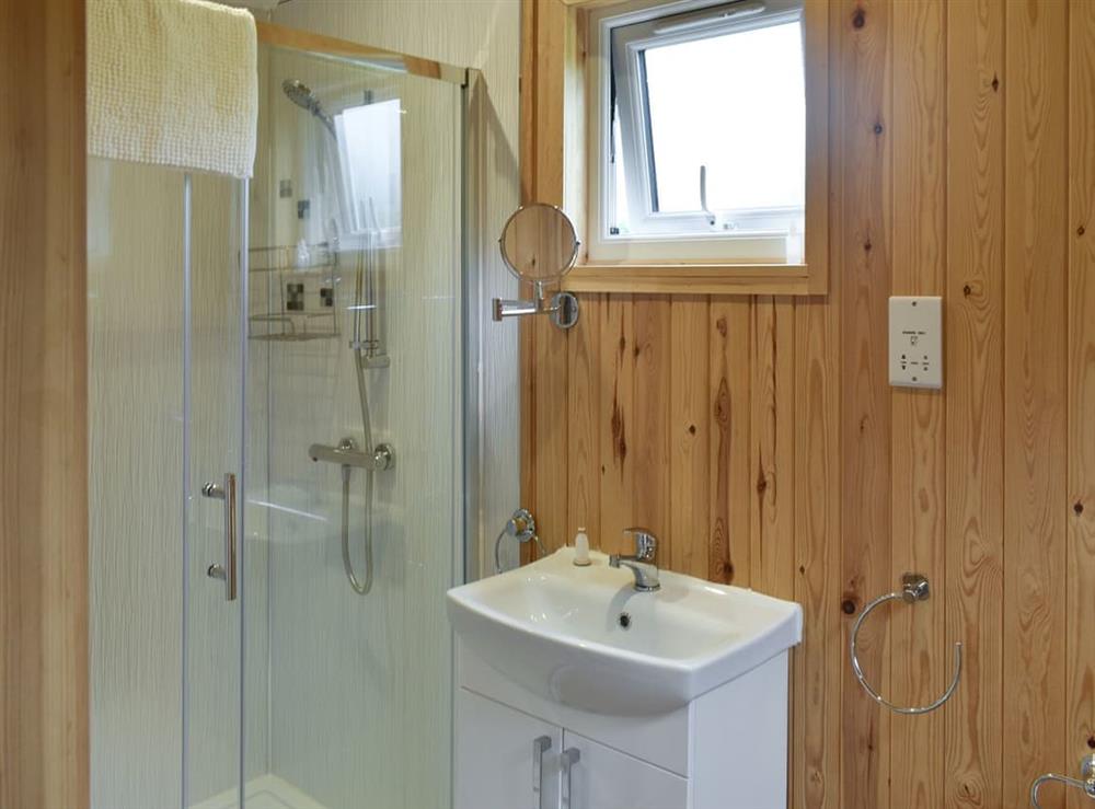 Shower room at Shepherds Hut 2, 