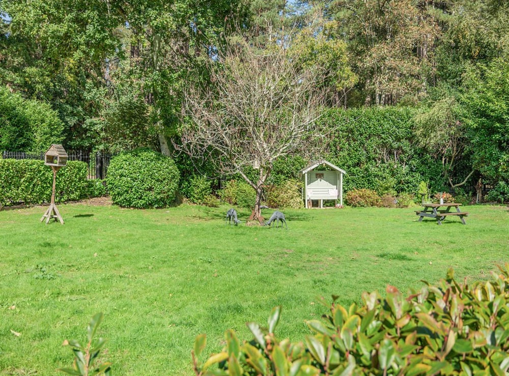 Garden at The Shire Cottage in Ringwood, New Forest, Hampshire