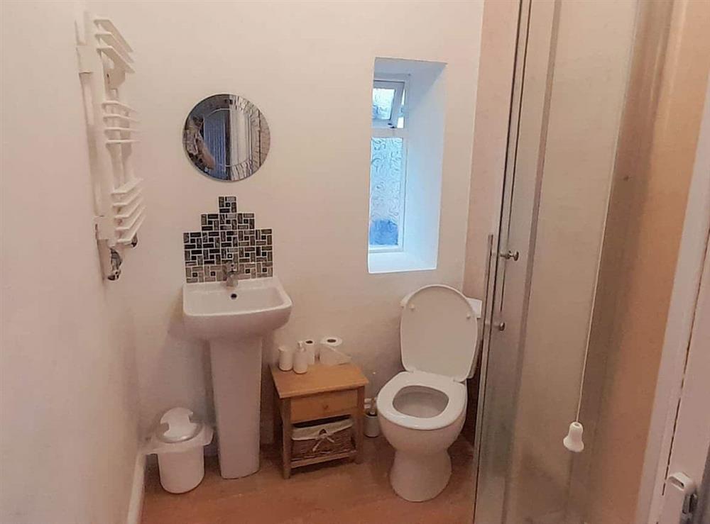 Shower room at The Snug in Aberaeron, Dyfed