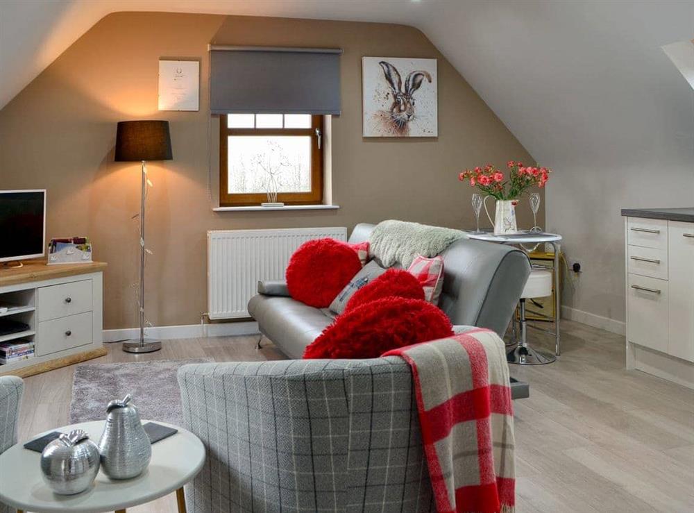 Attractive open plan living space at The Snug in Blackridge, near Edinburgh, West Lothian