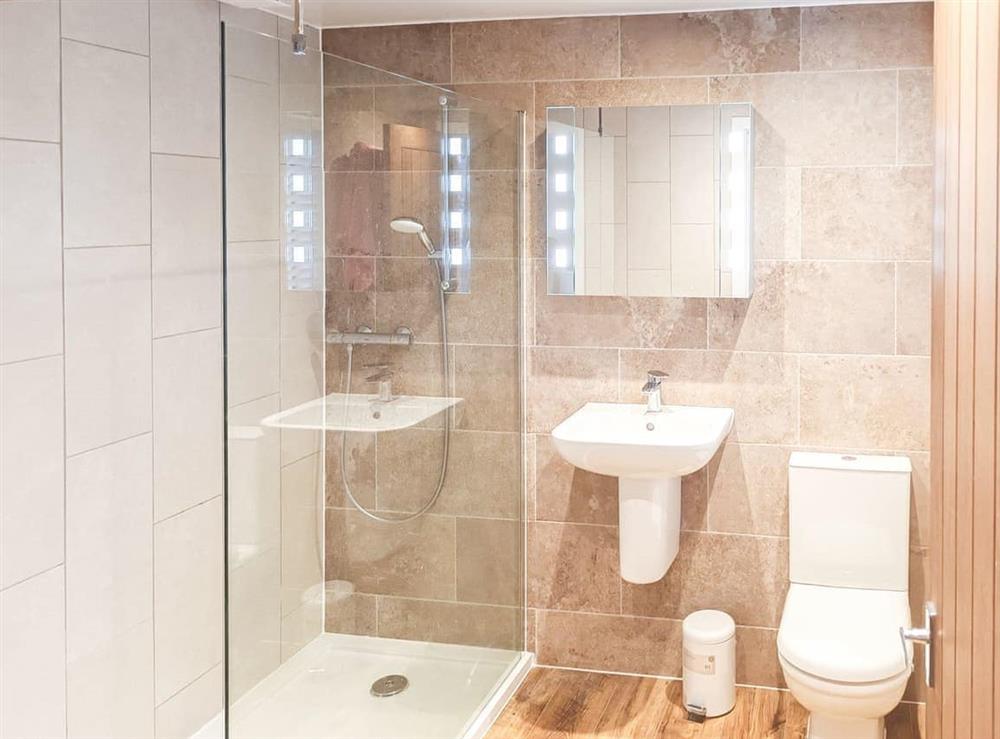 Shower room (photo 2) at The Snug in Dalbeattie, Kirkcudbrightshire