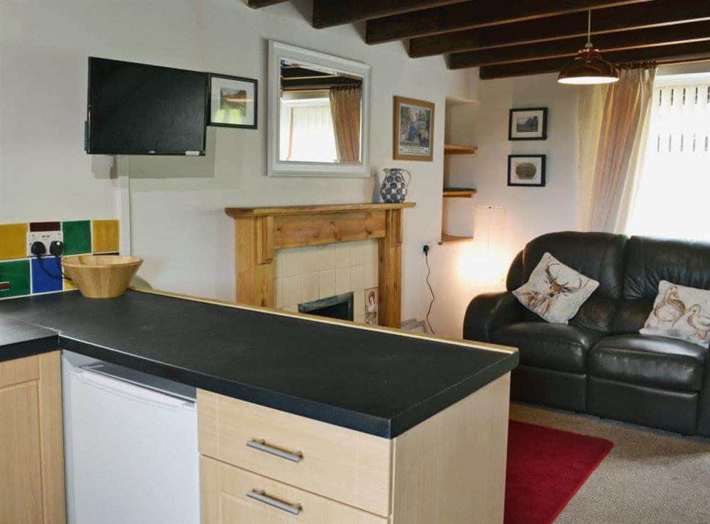 Cosy open plan living space with beams and open fire at The Snug in Glaisdale, near Whitby, North Yorkshire