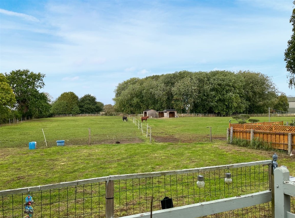 View (photo 2) at The Spinney in Linton-On-Ouse, near York, North Yorkshire