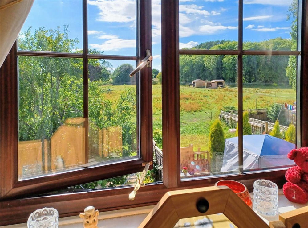 View at The Spinney in Linton-On-Ouse, near York, North Yorkshire