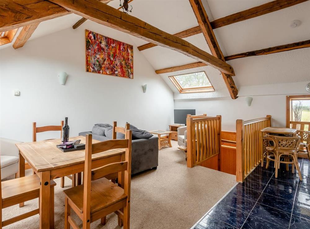 Open plan living space at The Stable in Capel Seion, near Aberystwyth, Dyfed