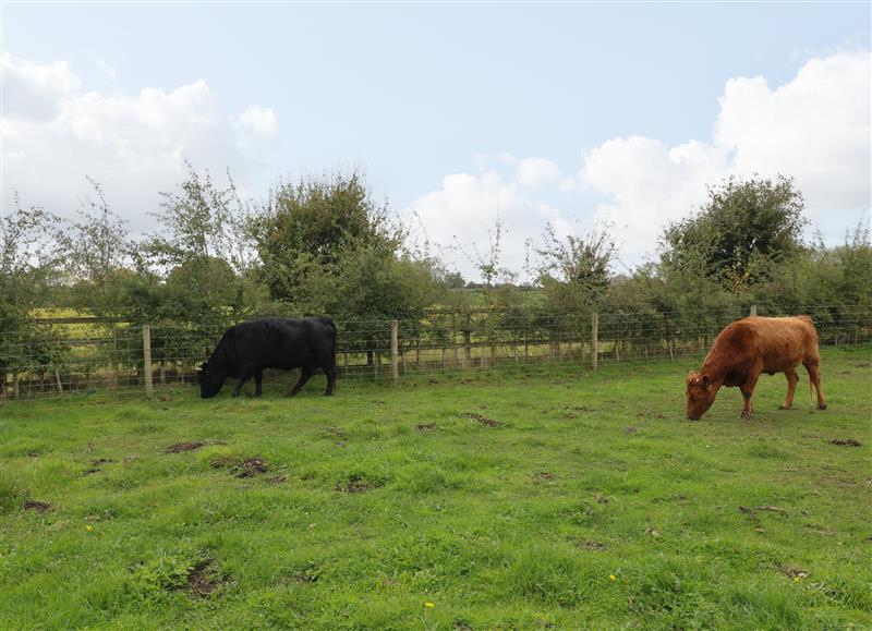 The area around The Stable