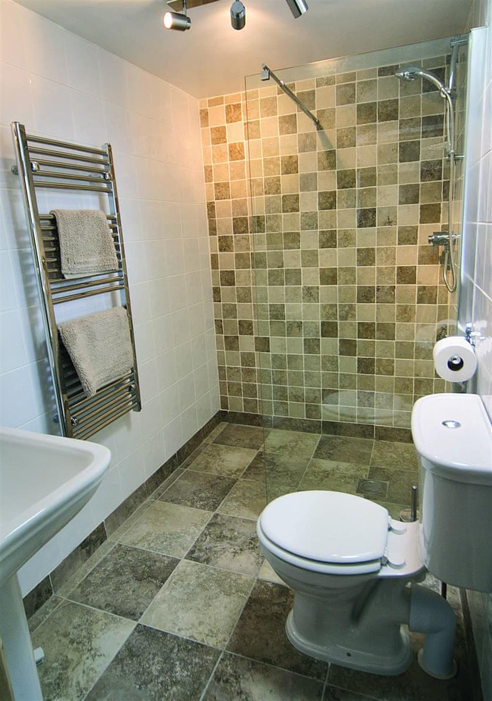 The Stable wet room at The Stable in Clarbeston Road, Dyfed