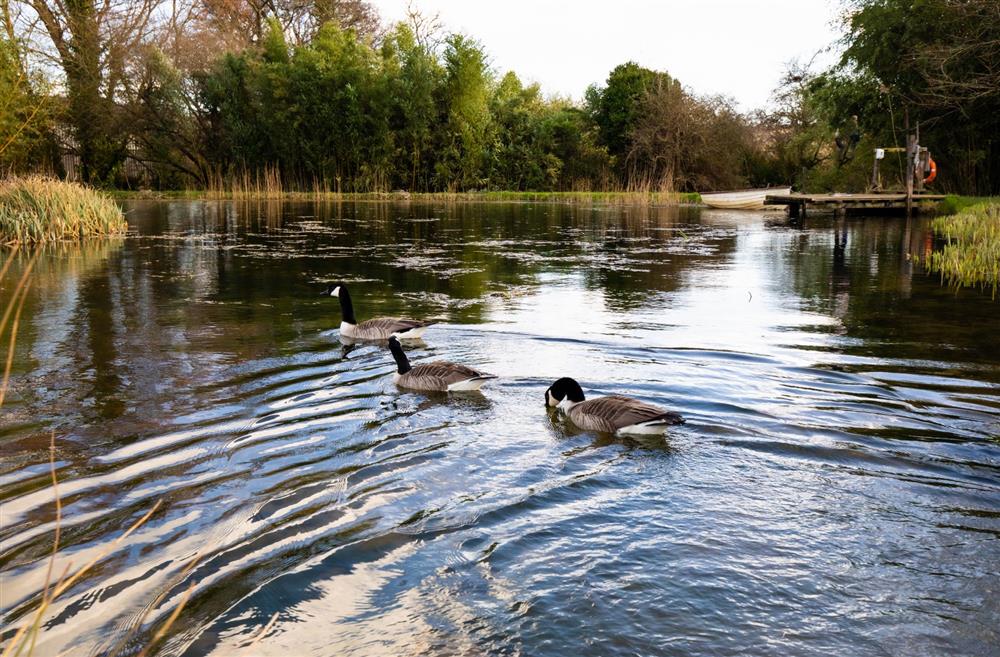 The stunning lake in its tranquil setting