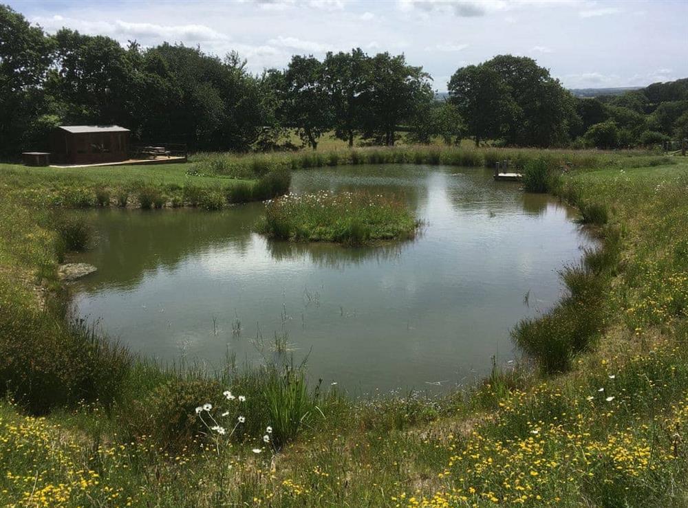 Tranquil wildlife area with lake (photo 2) at The Stable in North Petherwin, near Launceston, Cornwall
