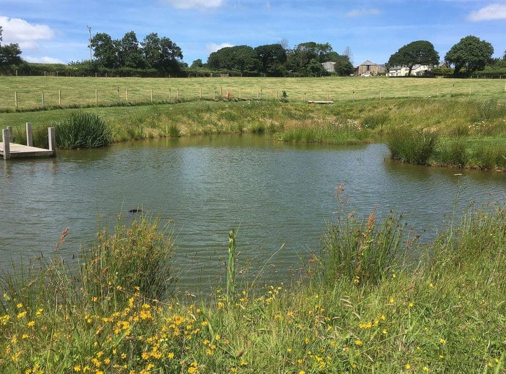 Tranquil wildlife area with lake at The Stable in North Petherwin, near Launceston, Cornwall