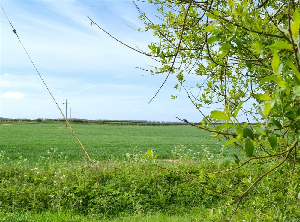View at The Stables in Bempton, near Bridlington, North Humberside
