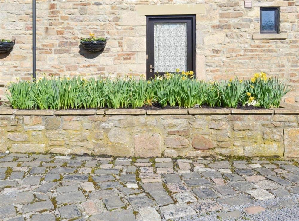 Cheerful raised-bed floral display at entrance at The Stables in Frosterley, near Bishop Auckland, Durham