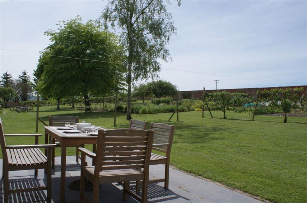Garden and patio at The Stables, Ottery St Mary, East Devon