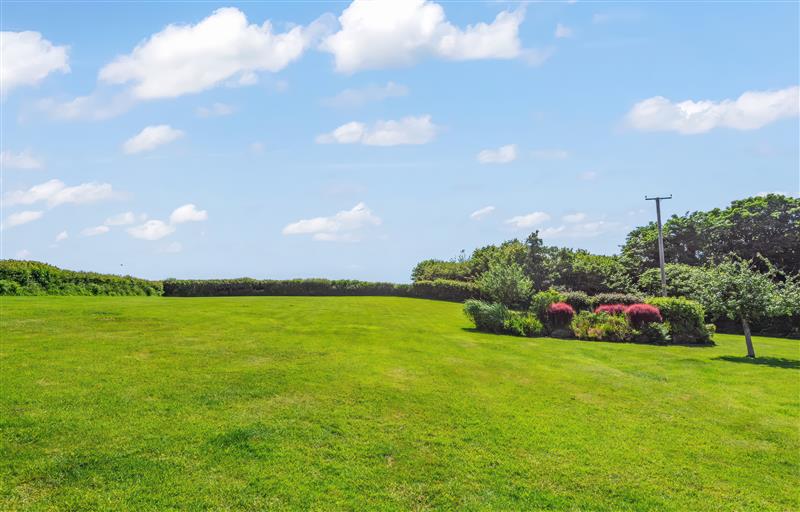 Rural landscape