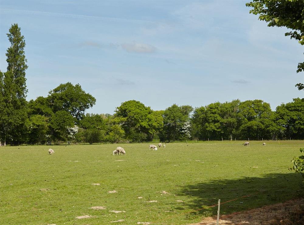 Impressive 36-acres of natural enclosed fields at The Dairy, 