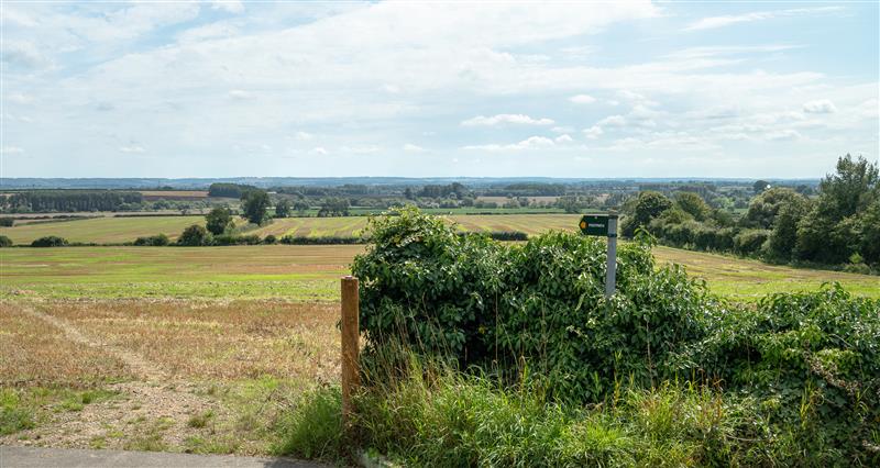 Rural landscape