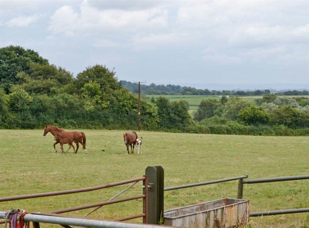 View at The Stables in Woolaston, near Lydney, Gloucestershire