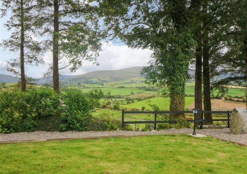The garden at The Stall, Kealkill