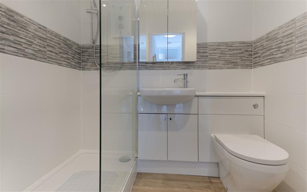 There's a double walk-in shower in the bathroom in this modern shower room. at The Strand in Helford Passage