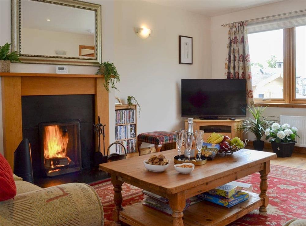 Living room at The Strathspey Lodge in Grantown-on-Spey, Moray, Morayshire