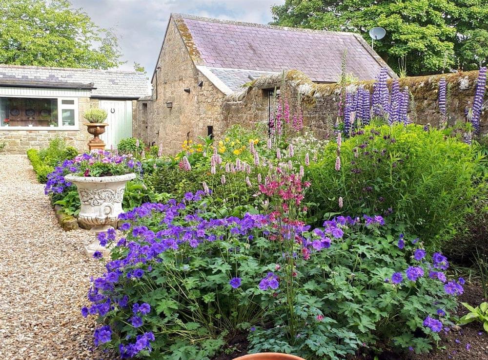 Garden and grounds at The Studio at Westfield in Bellingham, near Hexham, Northumberland