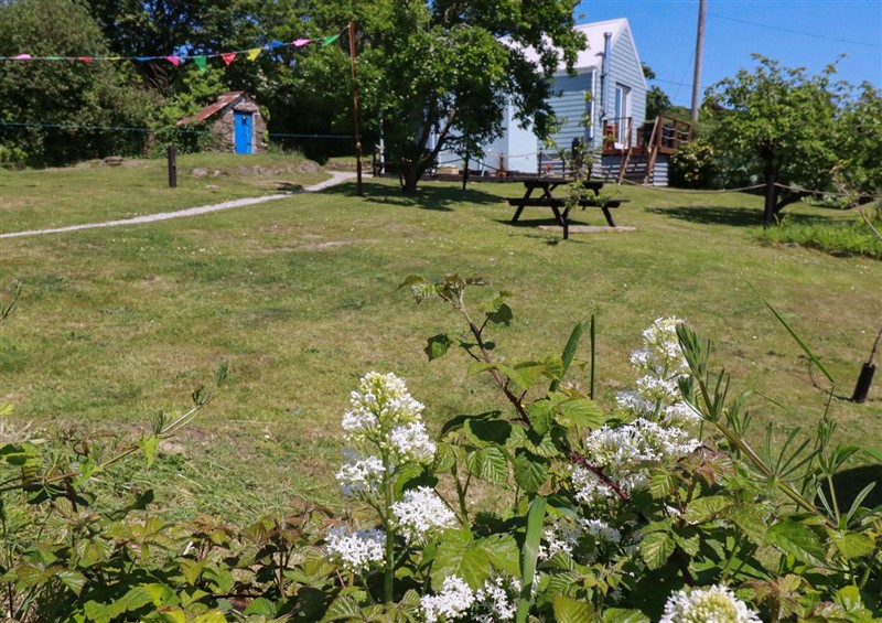 Outside at The Studio, Feock near Truro