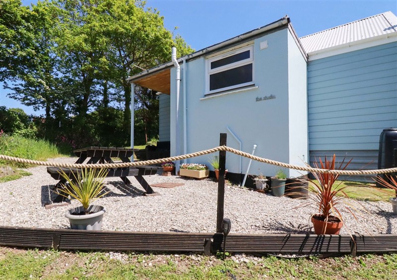 This is the garden at The Studio, Feock near Truro