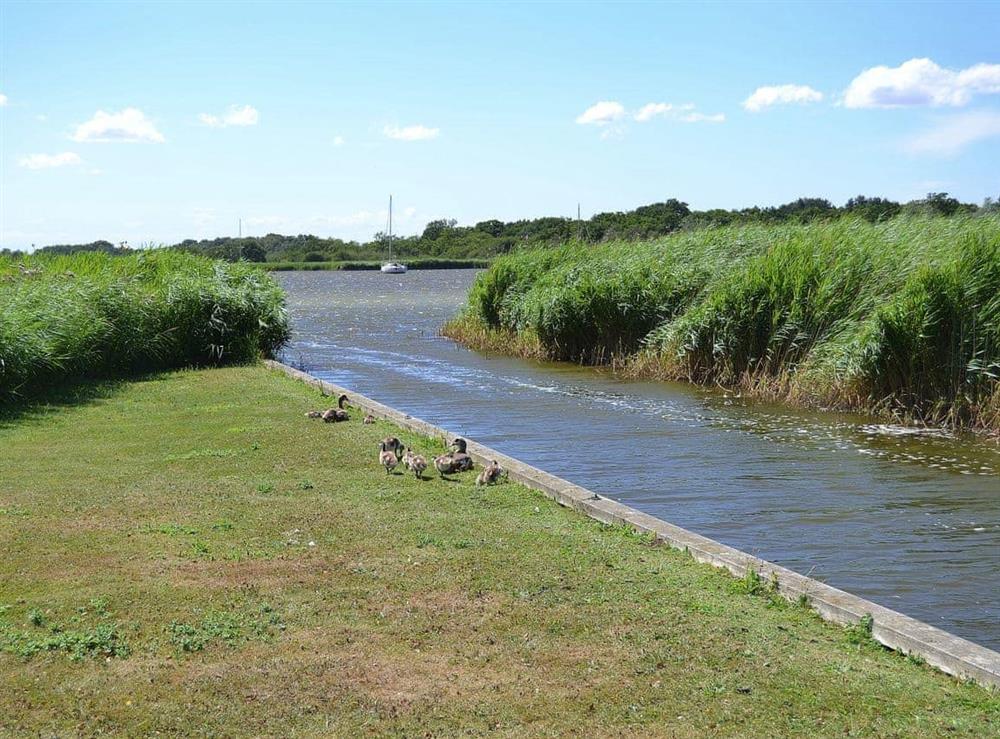 Private waterway opening onto Hickling Broad at The Studio in Hickling, Norfolk., Great Britain