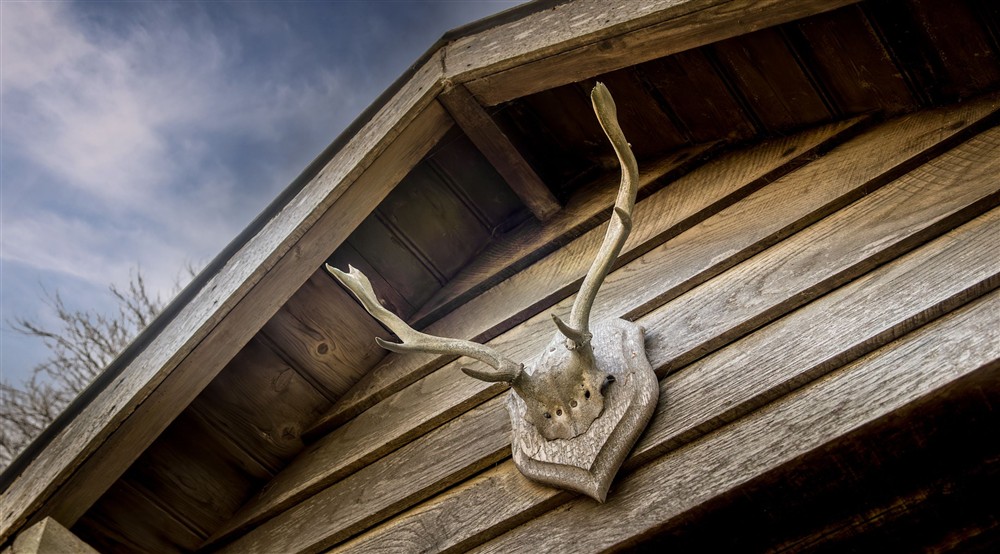 Deer antlers mounted on the gable above the front door of The Summer House, Cumbria at The Summer House in Nr Hawkshead, Cumbria