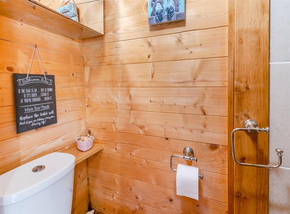 Bathroom (photo 2) at The Summer House in Salem, near Llandeilo, Dyfed