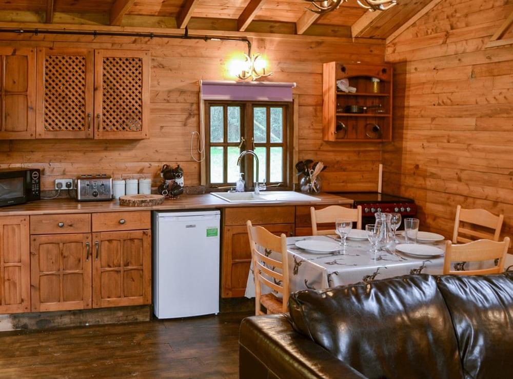 Open plan living space at The Sunset Cabin in Beccles, Suffolk