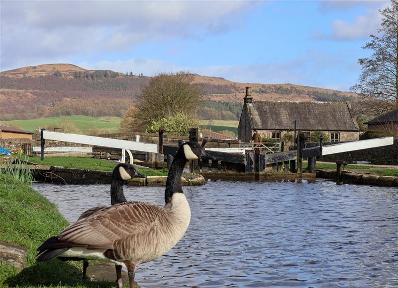 The setting at The Swans Nest Lock View, Gargrave