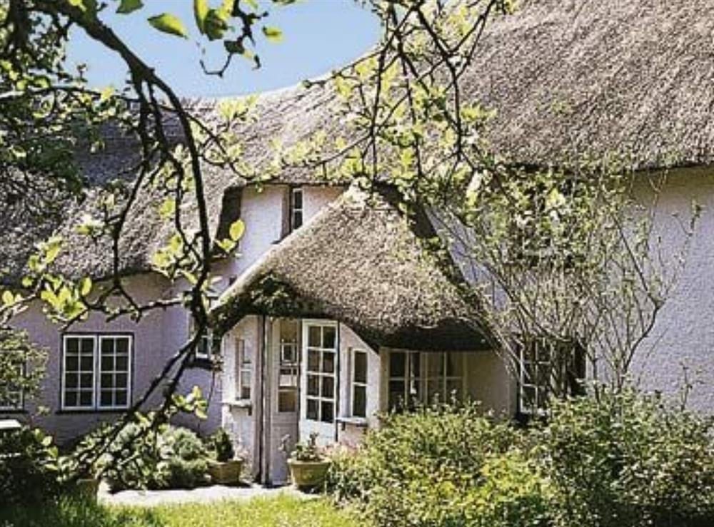 Photos of The Thatch Cottage, South Petherwin, near Launceston, Cornwall