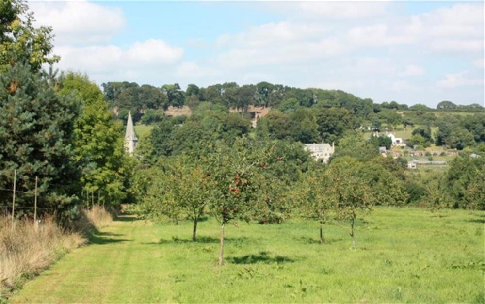 Acres of grounds with a small lake - the view across the orchard