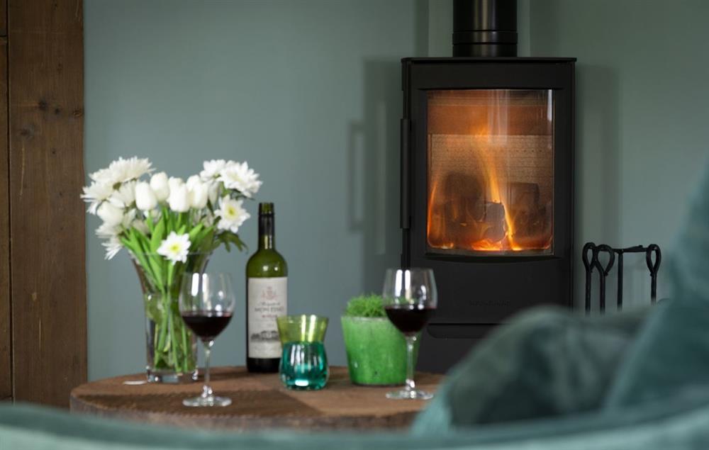Settle down in front of the wood burning stove on cooler days at The Timber Barn, Downton-on-the-Rock