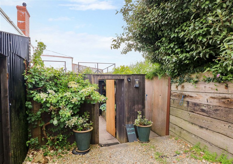The garden at The Tiny House, Nine Wells near Solva