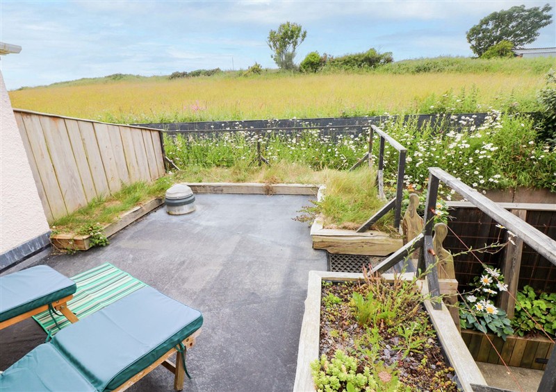 This is the garden at The Tiny House, Nine Wells near Solva