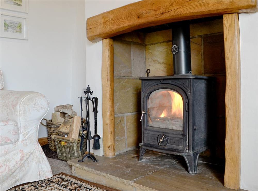 Cosy wood burner at The Tottsie in Bassenthwaite, near Cockermouth, Cumbria