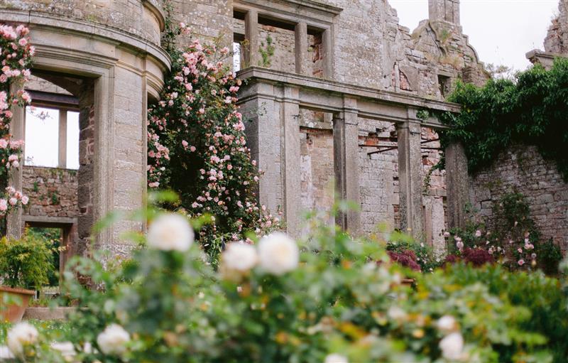 The garden at The Tower, Kirklinton near Longtown