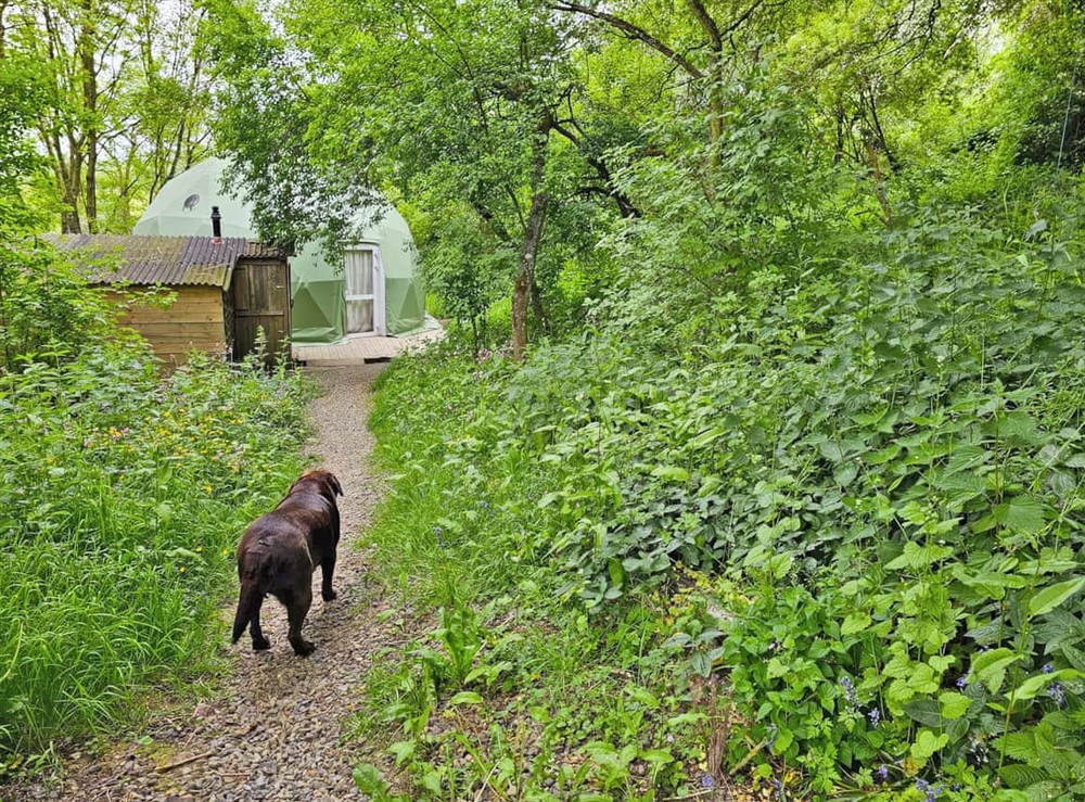 Exterior (photo 2) at The Tree Dome in Ludlow, Shropshire