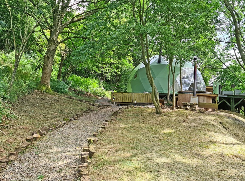 Exterior at The Tree Dome in Ludlow, Shropshire
