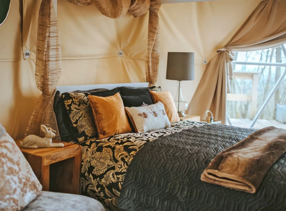Open plan living space (photo 4) at The Tree Dome in Ludlow, Shropshire