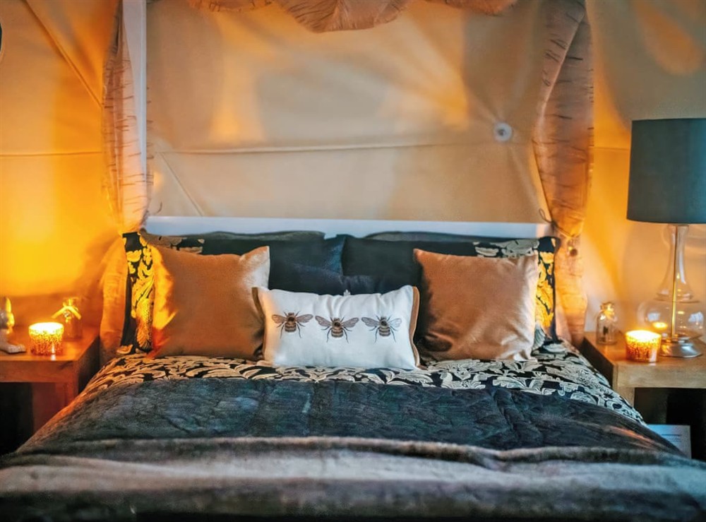 Open plan living space (photo 5) at The Tree Dome in Ludlow, Shropshire