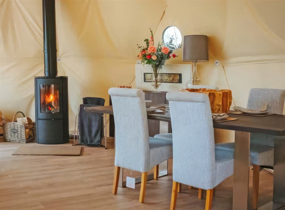 Open plan living space at The Tree Dome in Ludlow, Shropshire