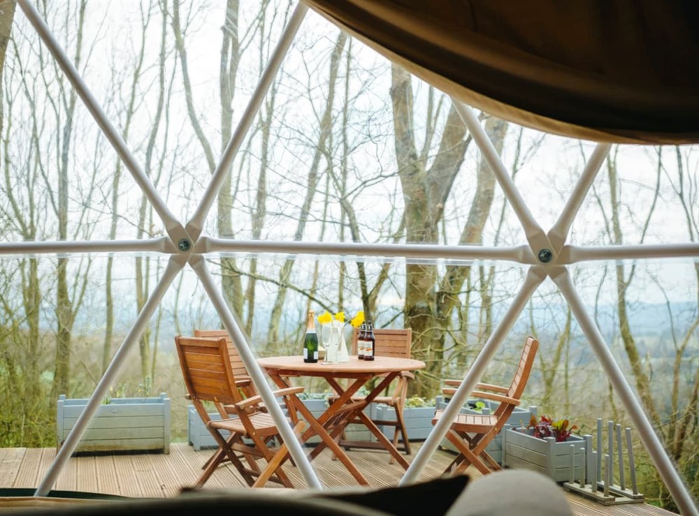 Outdoor area at The Tree Dome in Ludlow, Shropshire